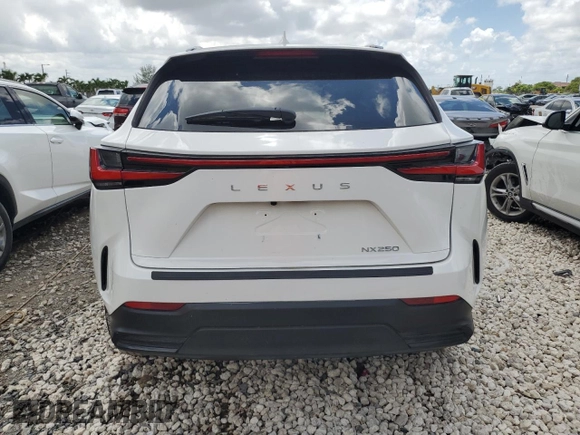 2022 Lexus NX with VIN 2T2ADCAZ9NC001423, listed as a Copart auction lot 62455124 with 3,107 mi miles and Non Repairable. Bid and sale history available at carsss.com. Image 6.