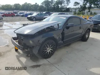 2006 Ford Mustang Standard z VIN 1ZVFT80NX65224073, wystawiony jako Copart lot #55227215 z przebiegiem 231 218 mil mil oraz Szkoda całkowita • Salvage title. Historia ofert i sprzedaży dostępna na DreamBid. Obrazek 1.