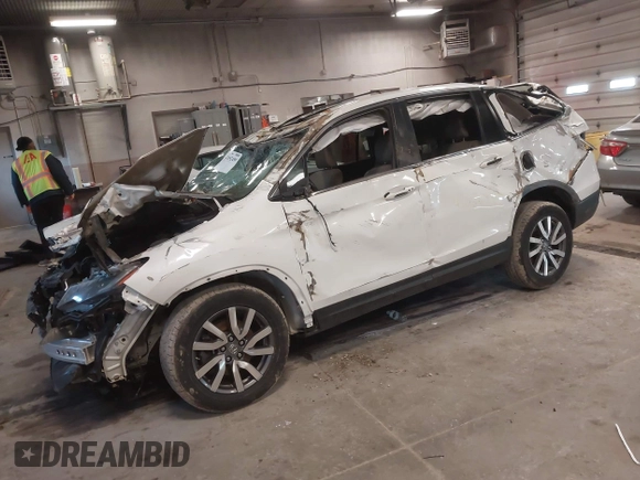 2019 Honda Pilot EX-L with VIN 5FNYF6H57KB050130, listed as a IAAI auction lot 42052495 with Not Provided miles and . Bid and sale history available at carsss.com. Image 17.