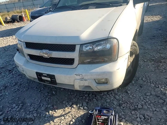 2009 Chevrolet TrailBlazer LT w/1LT with VIN 1GNDS33S192117198, listed as a Copart auction lot 86470444 with 182,167 mi miles and Salvage Title. Bid and sale history available at carsss.com. Image 10.