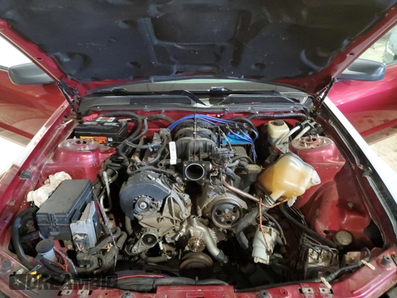 2005 Ford Mustang Deluxe with VIN 1ZVFT80N255148461, listed as a Copart auction lot 54378275 with 169,599 mi miles and Clean Title. Bid and sale history available at carsss.com. Image 11.