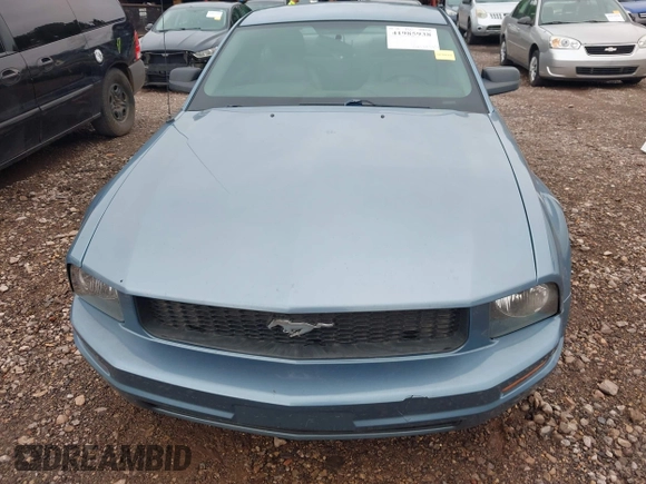 2006 Ford Mustang Standard with VIN 1ZVFT80N965128130, listed as a IAAI auction lot 41985938 with 203,035 mi miles. Bid and sale history available at carsss.com. Image 6.