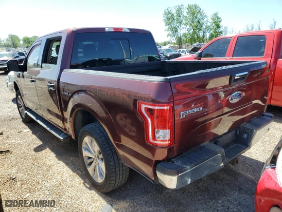 2016 Ford F-150 XLT with VIN 1FTEW1EP3GKD94446, listed as a Copart auction lot 49821574 with 206,534 mi miles and Salvage Title. Bid and sale history available at carsss.com. Image 2.
