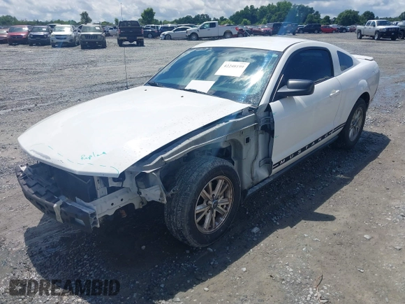 2008 Ford Mustang Deluxe with VIN 1ZVHT80N885199959, listed as a IAAI auction lot 42248199 with 275,431 mi miles and . Bid and sale history available at DreamBid. Image 2.