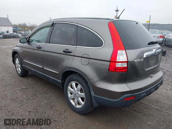 2009 Honda CR-V EX with VIN 5J6RE485X9L036252, listed as a IAAI auction lot 42017954 with 216,225 mi miles. Bid and sale history available at carsss.com. Image 3.