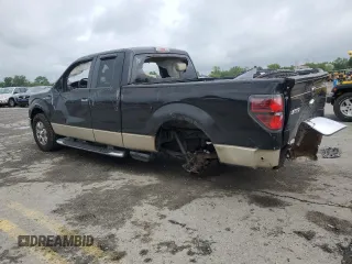 2009 Ford F-150 STX with VIN 1FTRX14819KB81135, listed as a Copart auction lot 61414765 with Not provided miles and Salvage title. Bid and sale history available at DreamBid. Image 2.