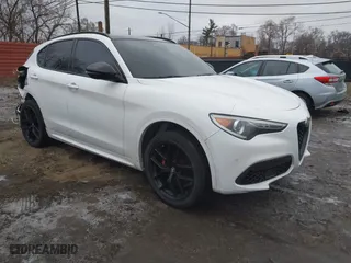 2021 Alfa Romeo Stelvio Ti with VIN ZASPAKBNXM7D15764, listed as a IAAI auction lot 41502764 with 48,714 mi miles. Bid and sale history available at carsss.com. Image 1.