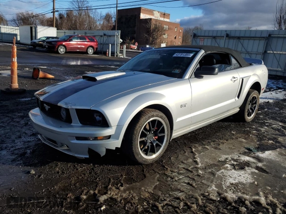 2006 Ford Mustang GT Deluxe with VIN 1ZVHT85H665218024, listed as a Copart auction lot 43781385 with 176,560 mi miles and Salvage Title. Bid and sale history available at carsss.com. Image 1.