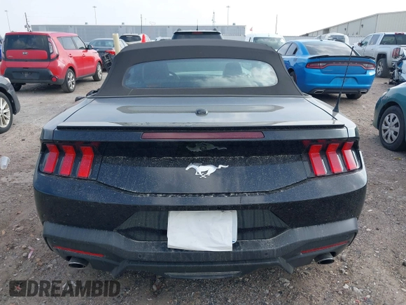 2025 Ford Mustang EcoBoost with VIN 1FAGP8UH9S5105110, listed as a IAAI auction lot 41808310 with 3,703 mi miles. Bid and sale history available at carsss.com. Image 16.