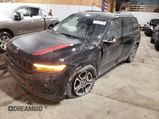 2022 Jeep Grand Cherokee Trailhawk with VIN 1C4RJHCG9N8629860, listed as a Copart auction lot 85348734 with 36,033 mi miles and Salvage title. Bid and sale history available at DreamBid. Image 1.