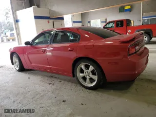 2013 Dodge Charger RT Max with VIN 2C3CDXCT3DH535023, listed as a Copart auction lot 45487785 with 257,306 mi miles and Salvage Title. Bid and sale history available at carsss.com. Image 2.