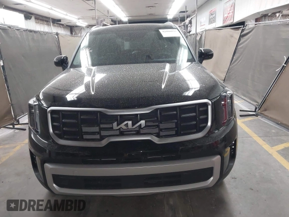 2025 Kia Telluride S with VIN 5XYP64GC9SG580656, listed as a IAAI auction lot 42000035 with 4,169 mi miles and . Bid and sale history available at DreamBid. Image 13.