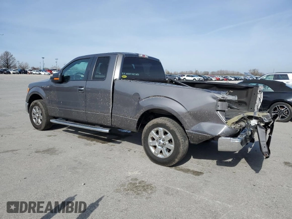 2013 Ford F-150 XL with VIN 1FTEX1CM3DKF59946, listed as a Copart auction lot 50104395 with 130,692 mi miles and Salvage title. Bid and sale history available at DreamBid. Image 2.