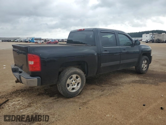 2009 Chevrolet Silverado 1500 LT with VIN 3GCEC23J89G181872, listed as a Copart auction lot 54402495 with 254,909 mi miles and Clean Title. Bid and sale history available at carsss.com. Image 3.
