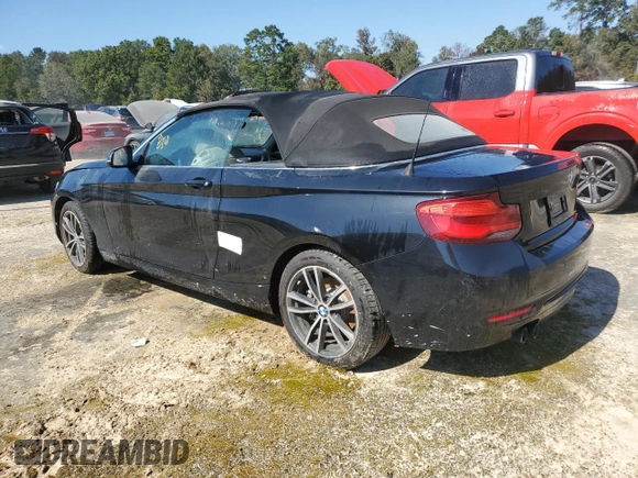 2019 BMW 2 Series 230i with VIN WBA2M7C57K7D33514, listed as a Copart auction lot 73794664 with 0 mi miles and Non Repairable. Bid and sale history available at carsss.com. Image 2.