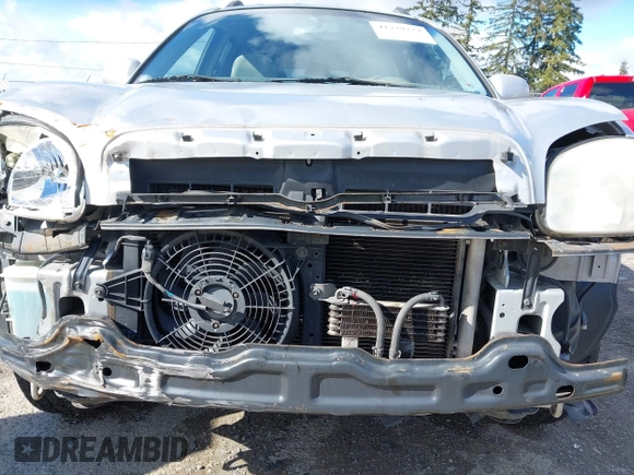 2005 Hyundai Santa Fe GLS with VIN KM8SC73D55U988475, listed as a IAAI auction lot 41779224 with 161,623 mi miles. Bid and sale history available at carsss.com. Image 6.