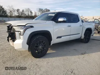 2022 Toyota Tundra Platinum with VIN 5TFNA5DB8NX014092, listed as a Copart auction lot 80914624 with 46,237 mi miles and Salvage title. Bid and sale history available at DreamBid. Image 1.