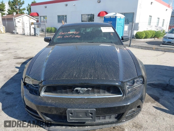 2014 Ford Mustang V6 z VIN 1ZVBP8AM5E5304212, wystawiony jako IAAI lot #42349481 z przebiegiem 18 478 mil mil oraz . Historia ofert i sprzedaży dostępna na DreamBid. Obrazek 12.