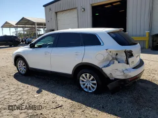 2007 Mazda CX-9 Touring with VIN JM3TB38Y470100686, listed as a Copart auction lot 76570754 with 207,510 mi miles and Salvage Title. Bid and sale history available at carsss.com. Image 2.