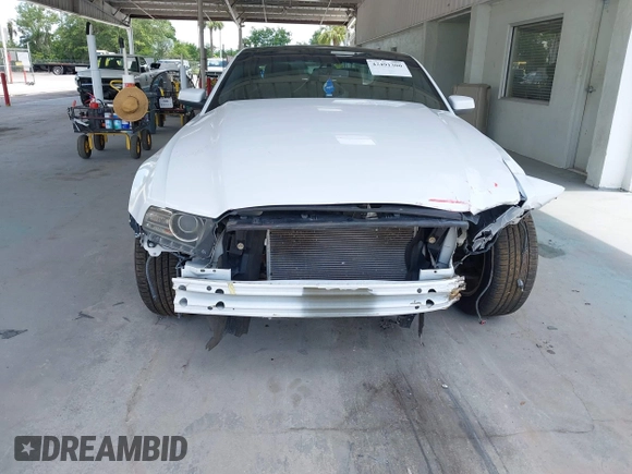2014 Ford Mustang V6 с VIN 1ZVBP8AMXE5248106, выставлен на аукционе IAAI как лот 42491300 с пробегом 144 587 миль миль и . История ставок и продаж доступна на DreamBid. Изображение 13.