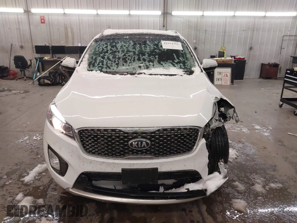 2017 Kia Sorento SX with VIN 5XYPKDA50HG241931, listed as a IAAI auction lot 41514316 with 82,859 mi miles and . Bid and sale history available at DreamBid. Image 12.