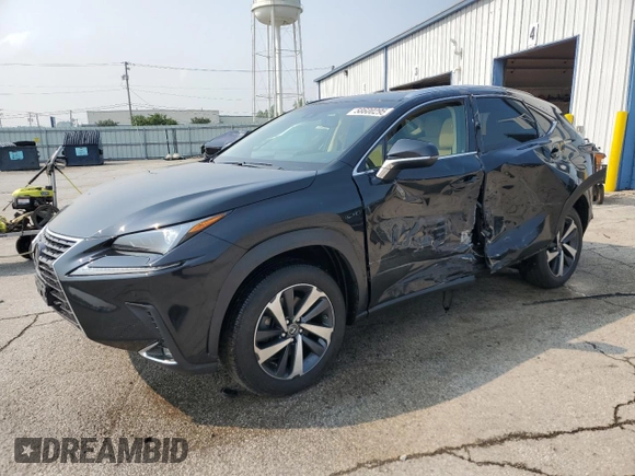 2019 Lexus NX 300 with VIN JTJBARBZ1K2210620, listed as a Copart auction lot 58600295 with 48,730 mi miles and Salvage title. Bid and sale history available at DreamBid. Image 1.