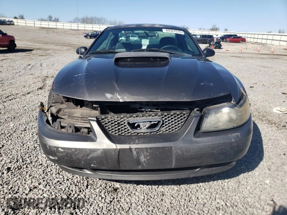 2004 Ford Mustang Standard with VIN 1FAFP40434F119248, listed as a Copart auction lot 49327515 with 210,235 mi miles and Salvage Title. Bid and sale history available at carsss.com. Image 5.
