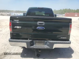 2013 Ford F-150 XL with VIN 1FTMF1CM1DFD63978, listed as a Copart auction lot 52976295 with 173,007 mi miles and Salvage title. Bid and sale history available at DreamBid. Image 6.