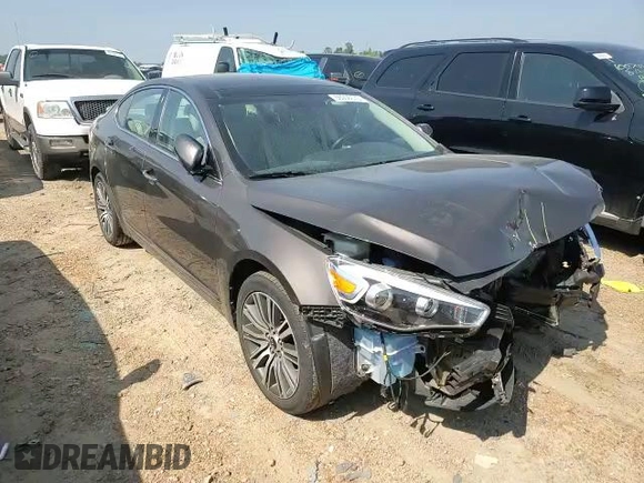 2015 Kia Cadenza Premium with VIN KNALN4D76F5173172, listed as a Copart auction lot 66956673 with 37,974 mi miles and Salvage Title. Bid and sale history available at carsss.com. Image 11.