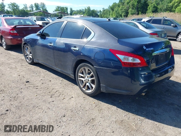 2010 Nissan Maxima 3.5 SV with VIN 1N4AA5AP6AC818249, listed as a IAAI auction lot 42217577 with 178,330 mi miles. Bid and sale history available at carsss.com. Image 3.