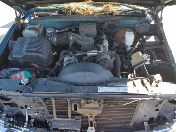 1997 Chevrolet Silverado 1500 with VIN 1GCEK19R9VE128903, listed as a Copart auction lot 49044265 with Not Provided miles and Non Repairable. Bid and sale history available at DreamBid. Image 11.