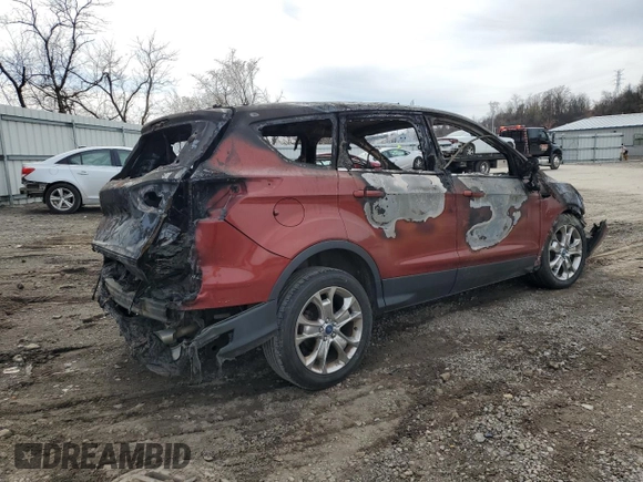 2015 Ford Escape SE with VIN 1FMCU9GX3FUA75944, listed as a Copart auction lot 49818255 with 0 mi miles and Salvage Title. Bid and sale history available at carsss.com. Image 3.