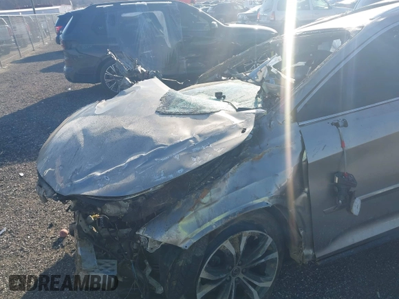 2019 Lexus RX with VIN 2T2BZMCA3KC207125, listed as a IAAI auction lot 41695417 with 1 mi miles. Bid and sale history available at carsss.com. Image 6.