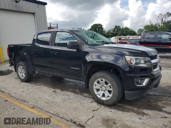 2019 Chevrolet Colorado 4WD LT with VIN 1GCGTCENXK1134524, listed as a Copart auction lot 60968805 with 118,049 mi miles and Salvage title. Bid and sale history available at DreamBid. Image 4.