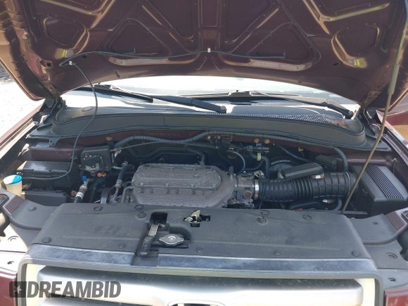 2007 Honda Pilot EX-L with VIN 2HKYF18527H510015, listed as a IAAI auction lot 42720416 with 155,685 mi miles and . Bid and sale history available at DreamBid. Image 10.