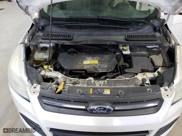 2013 Ford Escape SE with VIN 1FMCU0GX3DUB82887, listed as a Copart auction lot 49047175 with 185,438 mi miles and Clean Title. Bid and sale history available at carsss.com. Image 12.