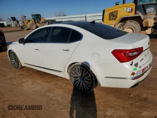 2014 Kia Cadenza Premium with VIN KNALN4D79E5131335, listed as a Copart auction lot 44814715 with 121,479 mi miles and Salvage Title. Bid and sale history available at carsss.com. Image 2.