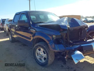 2010 Ford F-150 XL with VIN 1FTEW1C80AFA88025, listed as a IAAI auction lot 41661595 with 178,175 mi miles. Bid and sale history available at carsss.com. Image 1.