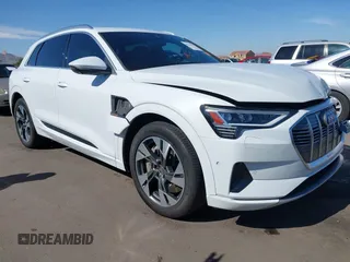 2021 Audi e-tron Premium Plus with VIN WA1LAAGE6MB002079, listed as a IAAI auction lot 42116578 with 48,357 mi miles. Bid and sale history available at carsss.com. Image 1.