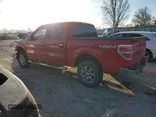 2009 Ford F-150 XL with VIN 1FTRW14849FA05790, listed as a Copart auction lot 87194234 with 212,721 mi miles and Salvage Title. Bid and sale history available at DreamBid. Image 2.