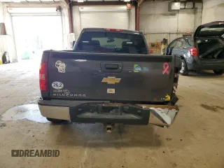 2010 Chevrolet Silverado 1500 LT with VIN 3GCRKSE36AG283923, listed as a Copart auction lot 54138255 with 166,290 mi miles and Clean Title. Bid and sale history available at DreamBid. Image 6.
