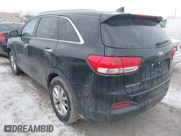 2017 Kia Sorento LX with VIN 5XYPGDA33HG288273, listed as a IAAI auction lot 41553468 with 116,362 mi miles. Bid and sale history available at carsss.com. Image 3.