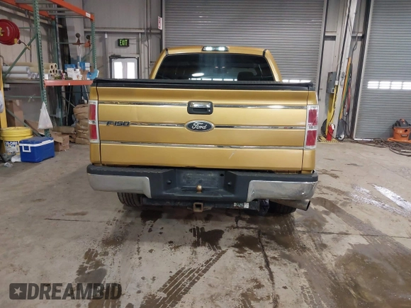 2009 Ford F-150 XL with VIN 1FTRW14829KC27848, listed as a IAAI auction lot 41570755 with 163,947 mi miles and . Bid and sale history available at DreamBid. Image 16.