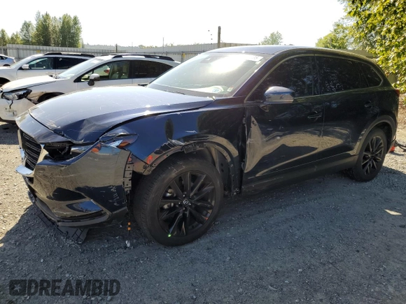 2023 Mazda CX-9 Touring Plus с VIN JM3TCBAYXP0645616, выставлен на аукционе Copart как лот 58721385 с пробегом 32 275 миль миль и Списание • Salvage title. История ставок и продаж доступна на DreamBid. Изображение 1.