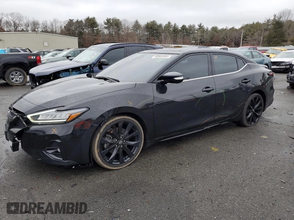 2023 Nissan Maxima SR with VIN 1N4AA6EV8PC501449, listed as a Copart auction lot 46982095 with 19,653 mi miles and Salvage title. Bid and sale history available at DreamBid. Image 1.