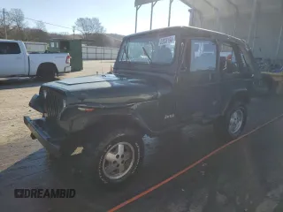 1994 Jeep Wrangler with VIN 1J4FY29S2RP459998, listed as a Copart auction lot 82838194 with 249,908 mi miles and Salvage Title. Bid and sale history available at carsss.com. Image 1.