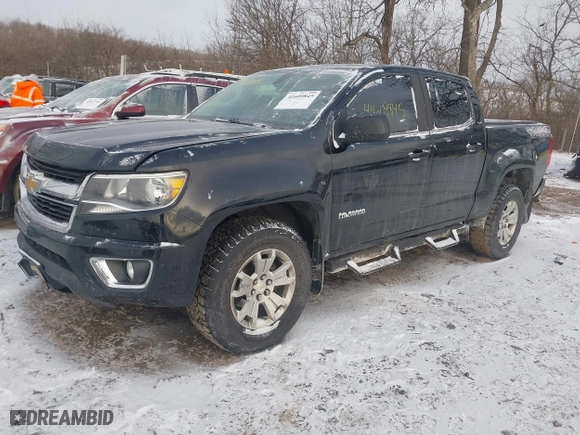 2017 Chevrolet Colorado 4WD LT with VIN 1GCGTCEN1H1202802, listed as a IAAI auction lot 41609845 with 156,458 mi miles. Bid and sale history available at carsss.com. Image 18.