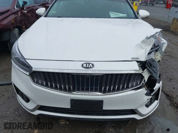 2018 Kia Cadenza Limited with VIN KNALC4J11J5099335, listed as a IAAI auction lot 41217994 with 55,335 mi miles. Bid and sale history available at carsss.com. Image 6.