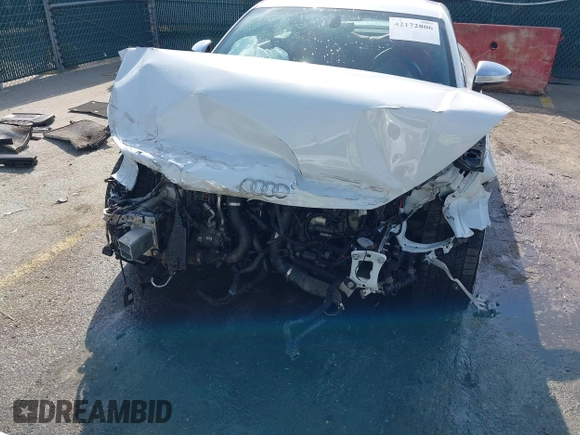 2018 Audi TTS with VIN TRUC1AFV7J1009606, listed as a IAAI auction lot 42172806 with 54,062 mi miles and . Bid and sale history available at DreamBid. Image 6.