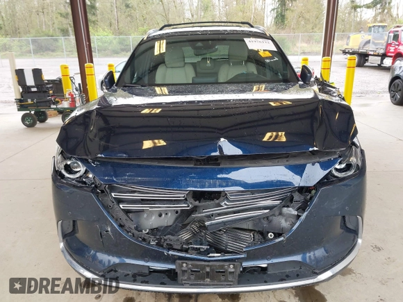 2018 Mazda CX-9 Grand Touring with VIN JM3TCBDY0J0216195, listed as a IAAI auction lot 41976122 with 90,083 mi miles and . Bid and sale history available at DreamBid. Image 6.